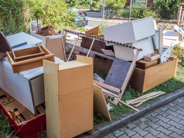 Best Trash Removal Near Me  in Elizabeth Lake, CA